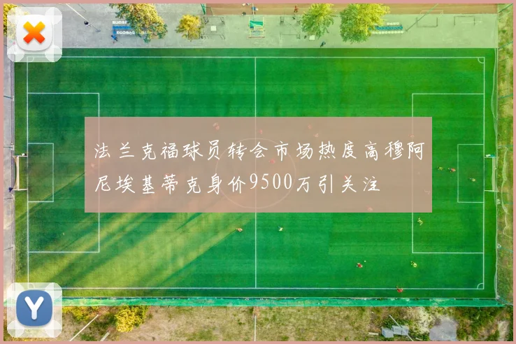 法兰克福球员转会市场热度高穆阿尼埃基蒂克身价9500万引关注