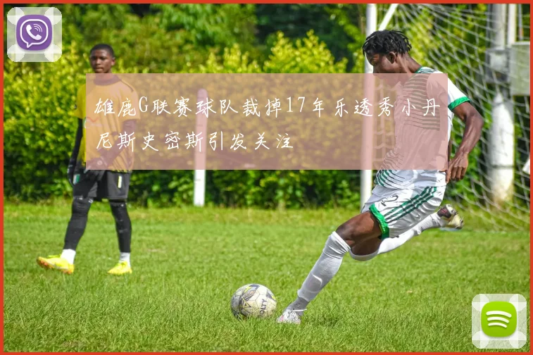 雄鹿G联赛球队裁掉17年乐透秀小丹尼斯史密斯引发关注