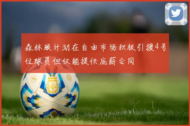 森林狼计划在自由市场积极引援4号位球员但仅能提供底薪合同