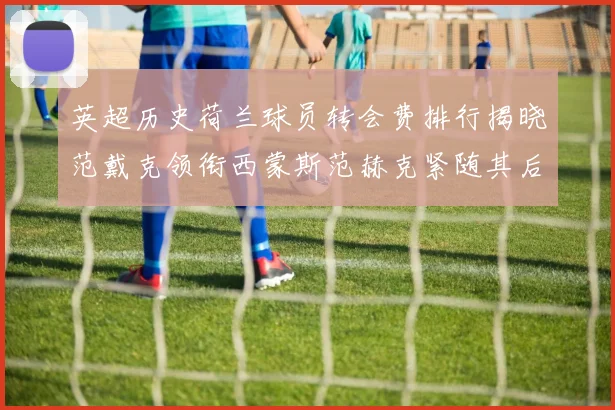英超历史荷兰球员转会费排行揭晓范戴克领衔西蒙斯范赫克紧随其后