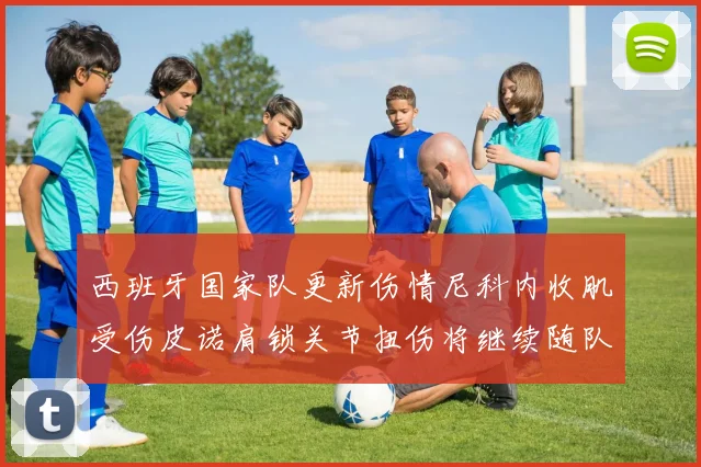 西班牙国家队更新伤情尼科内收肌受伤皮诺肩锁关节扭伤将继续随队训练